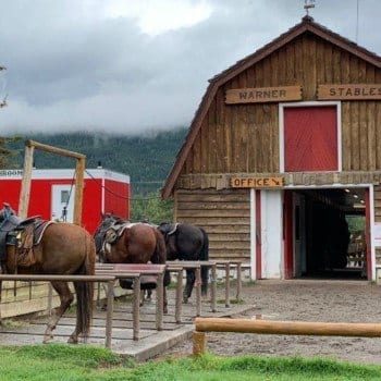 Warner Stables in Banff