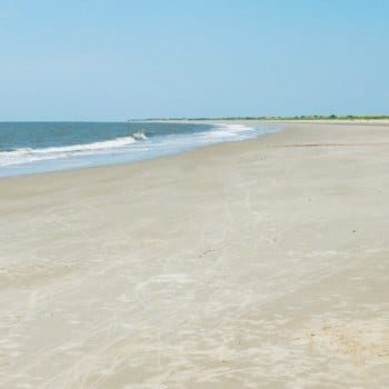 Little St Simons Island beach