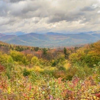 Fall foliage at Bear Notch Road overlook in the White Mountain National Forest