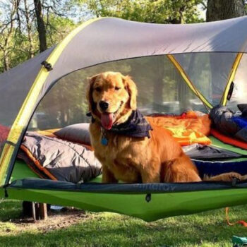 Camping Gear List For Beginners And Weekend Warriors