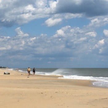 Cape Henlopen Beach Rehoboth Delaware
