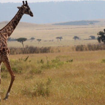 Best cultural trips for families