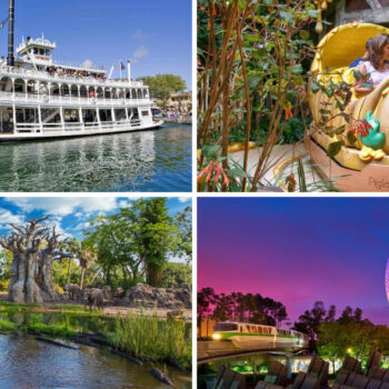 Disney's Best Kept Secret: 19 Rides That Actually Help You Unwind