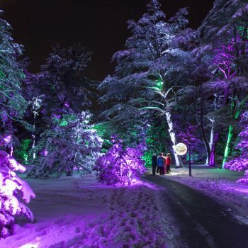 Enchanted Forest and Morton Arboretum