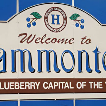 Hammonton, NJ: The Blueberry Capital of the World Is Officially a Berry Lover's Dream Come True