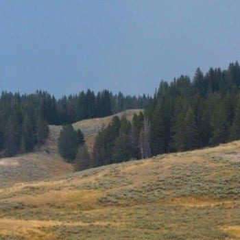Must see in Yellowstone Hayden valley hills