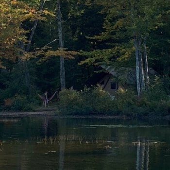 Huttopia white mountains tent on the lake