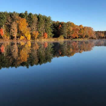 Lincoln Woods trees reflected in pond in fall