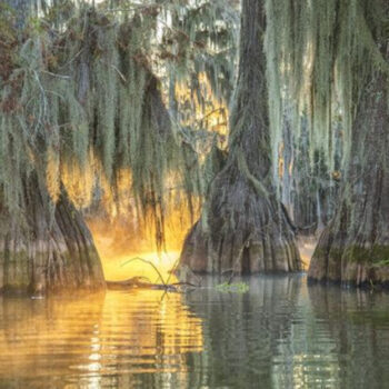 Louisiana’s Forgotten Plantation Grounds Hidden Behind Cypress Swamps