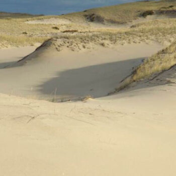 Massachusetts' Best Cape Cod Towns for Dune Walks and Oysters