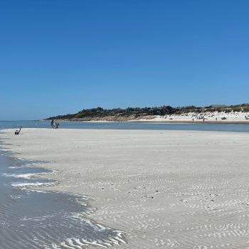 Mayflower Beach on cape cod