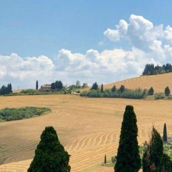 Tuscany wine tours with Tuscan Organic Tours