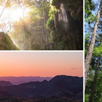 One Hidden Texas Gem Offers A Scenic Nature Excursion With Hiking Trails And A Lush Grotto