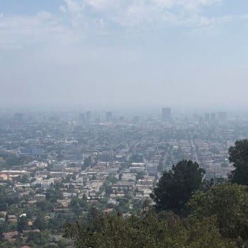 Griffith Park trails