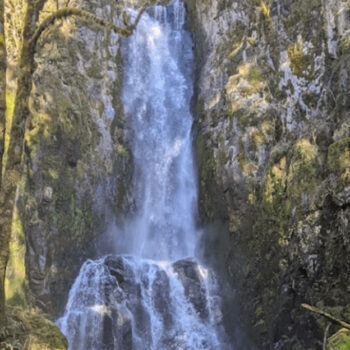 Oregon: Where Two Quietly Stunning Waterfalls Rival the Beauty of Niagara Falls