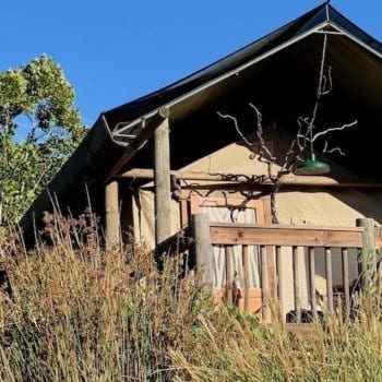 Safari west glamping tents