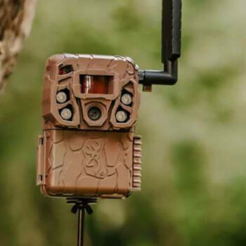 The 8 Best Cellular Trail Cameras, from Budget to High-End