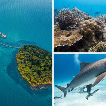 The Hidden Truth About 15 Luxury Dive Resorts Nobody Talks About