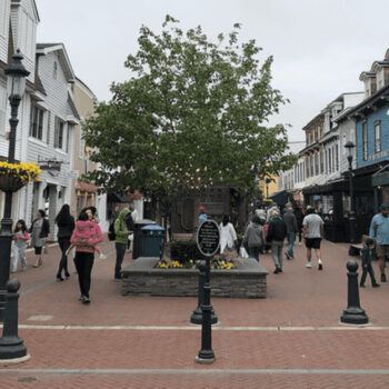The New Jersey Town Everyone Falls in Love With: Why Cape May Steals the Spotlight