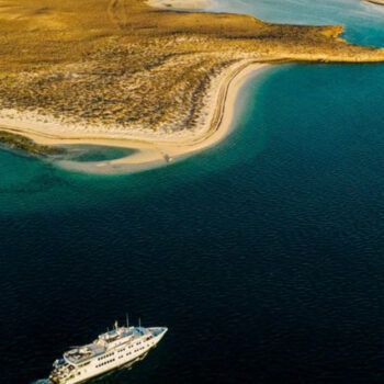 Thinking About a Cruise This Summer? Here’s Why You Should Book by July 15