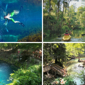 This Florida Swimming Hole Is A Top Ranked Spot For Water Adventures
