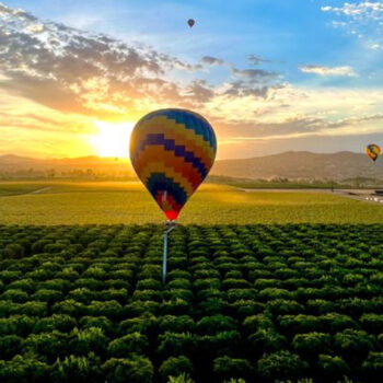 This Lesser-Known California Town Is Between Los Angeles and San Diego and Is Known as Southern California's Premier Wine Destination This Lesser-Known California Town Is Between Los Angeles and San Diego and Is Known as Southern California's Premier Wine Destination