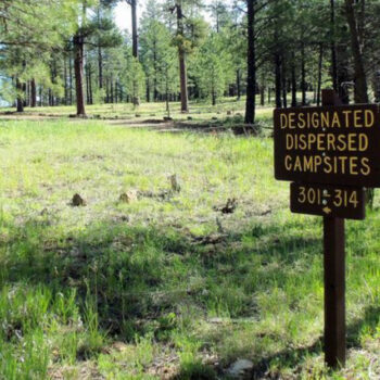 This Secret Sedona Off Road Route Leads to 13 Epic Wild Camping Spots