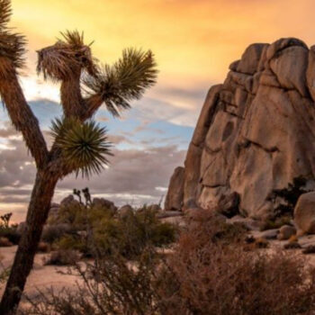 This U.S. Desert Is the Hottest New Destination — And Here's Why