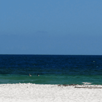 Where to eat in Orange beach alabama