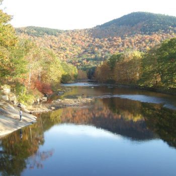 River and trees near covered bridge in Vermont