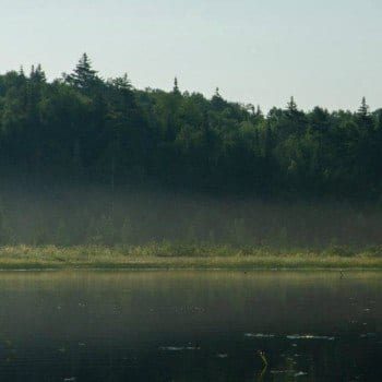 Canoeing on Roach Pond