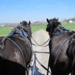Lancaster buggy ride