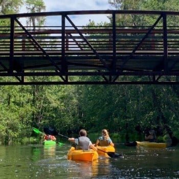 Kayaking on Shingle Creek