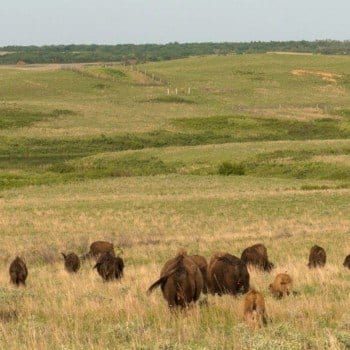 Maxwell Wildlife Refuge Lindsborg KS
