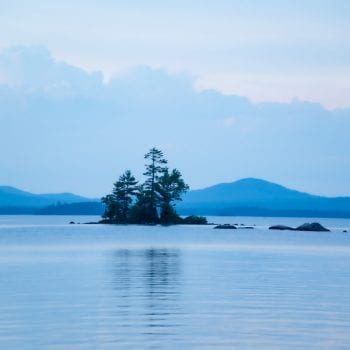 Trees on an island in the middle of Millinocket Lake