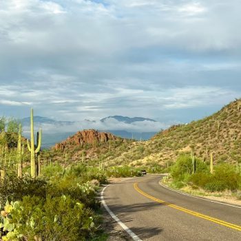 Road through Saguaro National Park