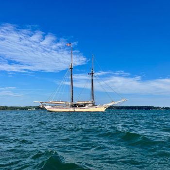 Schooner Heritage from the water