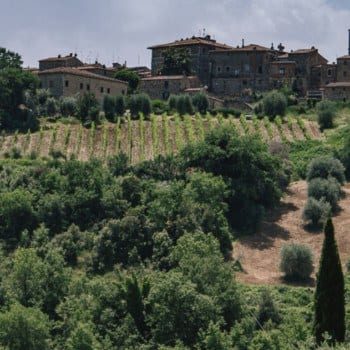 Tuscan countryside by Abbey di Sant'Antimo