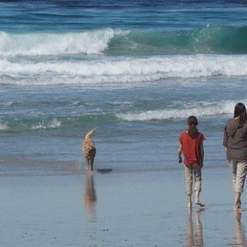 Visiting Carmel with Kids: find out why this seaside California village is a delight for families.